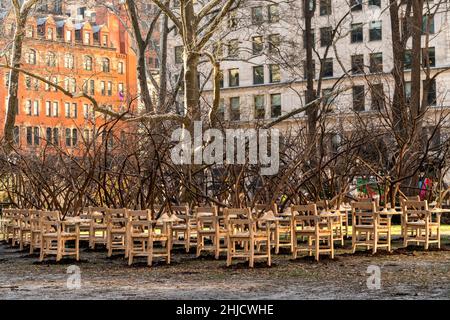« BrierPatch » de l'artiste Hugh Hayden est vu sur une pelouse dans Madison Square Park à New York le mercredi 20 janvier 2022.Une centaine de bureaux d'école avec branches d'arbre émergent sont construits dans un modèle de grille référençant un patch de brier, qui est protecteur et dangereux en même temps.L'œuvre d'art publique sera en vue jusqu'au 24 avril 2022.(© Richard B. Levine) Banque D'Images