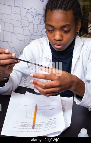 Éducation École primaire ou moyenne classe de sciences de 6 e année extraction d'ADN jeune fille travaillant sur l'expérience Banque D'Images
