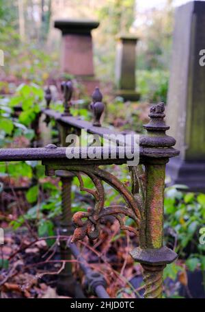 Cimetière général de Sheffield.Les chemins bordés d'arbres filent à travers un patchwork surcultivé de pierres tombales et de fer rouillé Banque D'Images