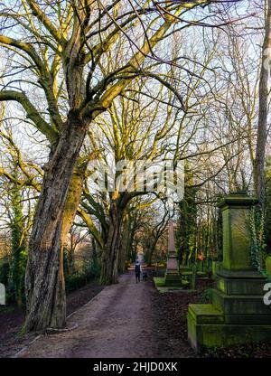 Cimetière général de Sheffield.Les chemins bordés d'arbres filent à travers un patchwork surcultivé de pierres tombales et de fer rouillé Banque D'Images