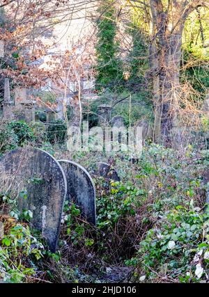 Cimetière général de Sheffield.Les chemins bordés d'arbres filent à travers un patchwork surcultivé de pierres tombales et de fer rouillé Banque D'Images