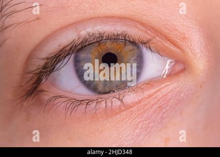 Macro photographie de l'élève d'une jeune femme oeil Banque D'Images