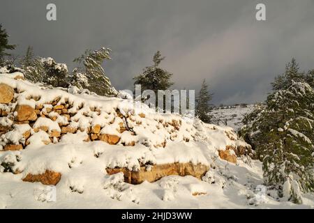 Neige recouvrant les montagnes de la Judée, près de Jérusalem, Israël, à l'aube. Banque D'Images
