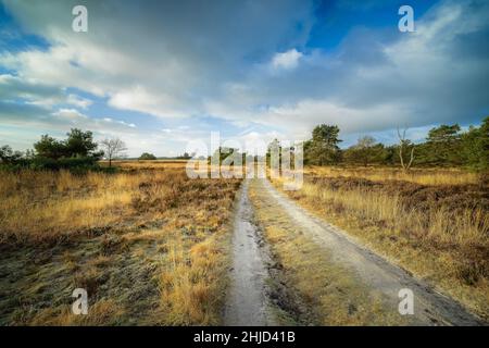 Route de sable dans le paysage de santé pendant le lever du soleil avec lumière dorée Banque D'Images