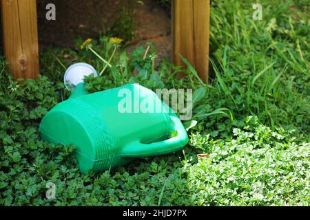 Gros plan d'un arrosoir en plastique posé sur le côté de l'herbe. Banque D'Images