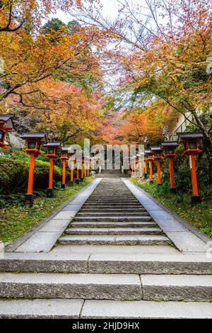 Un chemin bordé de lanternes avec des escaliers menant au temple Kurama-dere au nord de Kyoto, au Japon, le matin de l'automne. Banque D'Images