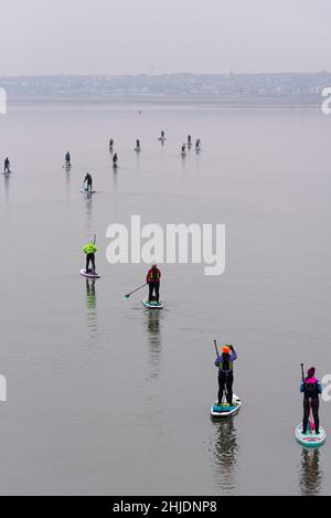 Groupe de paddleboarding sur l'estuaire de la Tamise tôt le matin retour vers Chalkwell après avoir passé Southend Pier à marée basse.Calme et plat Banque D'Images