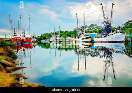 Des bateaux à crevettes sont photographiés, le 8 avril 2014, à Bayou la Batre, Alabama.La ville est connue sous le nom de la capitale des fruits de mer de l'Alabama. Banque D'Images