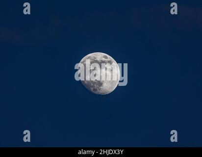 Gros plan sur la lune de cire - un jour avant la pleine lune - prise de vue en début de soirée contre le ciel bleu foncé.Stuttgart, Allemagne 22 janvier 2022 Banque D'Images