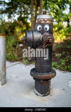 Plan vertical d'une borne d'incendie en métal avec des yeux googly drôles Banque D'Images