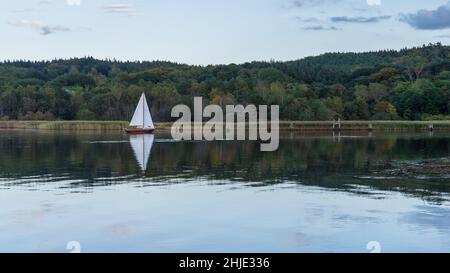 Un bateau à voile au Jasmunder Bodden à Ralswieck, Mecklembourg-Poméranie occidentale, Allemagne Banque D'Images