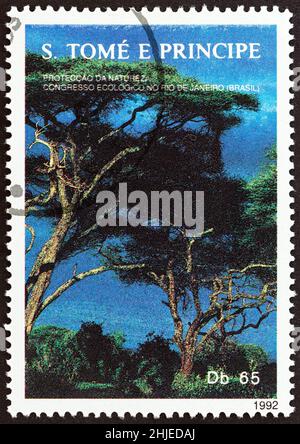 SAO TOMÉ-ET-PRINCIPE - VERS 1992 : un timbre imprimé à Sao Tomé-et-principe montre la forêt tropicale, vers 1992. Banque D'Images