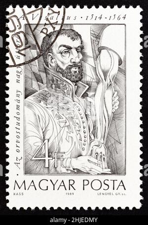 HONGRIE - VERS 1989: Un timbre imprimé en Hongrie du numéro "pionniers de la médecine (série 2nd)" montre Andreas Vesalius (dissection), vers 1989. Banque D'Images