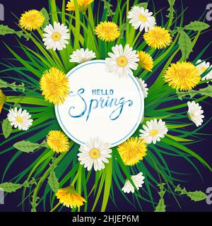 Hello Spring lettering modèle fond avec fleurs bouquet pissenlits et pâquerettes, chamomiles, herbe.Illustration vectorielle.Design frais pour Illustration de Vecteur