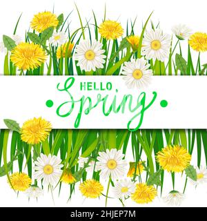Hello Spring lettering gabarit bannière avec fleurs fraîches bouquet pissenlits et pâquerettes, chamomiles, herbe.Illustration vectorielle.Motif fleuri pour Illustration de Vecteur