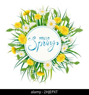 Hello Spring lettering modèle fond avec fleurs bouquet pissenlits et pâquerettes, chamomiles, herbe.Illustration vectorielle.Design frais pour Illustration de Vecteur