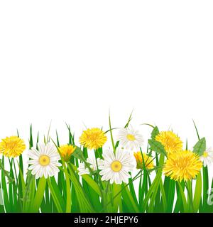 Fond de modèle de printemps avec fleurs pissenlits et pâquerettes, chamomiles, herbe.Illustration vectorielle.Nouveau design pour les affiches, les prospectus et les messages d'accueil Illustration de Vecteur