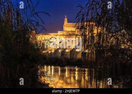 CORDOBA ANDALOUSIE ESPAGNE LA MOSQUÉE ÉCLAIRÉE CATHÉDRALE MEZQUITA ET PONT ROMAIN SUR LE FLEUVE GUADALQUIVIR LA NUIT Banque D'Images