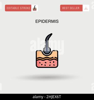 Icône de vecteur simple épiderme. Illustration de Vecteur