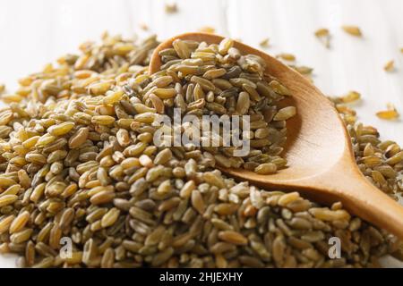 Tas de freakeh ou de firik crus, grains de blé torréfiés, en cuillère en bois sur grain de freakeh Banque D'Images