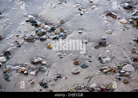 Plage humide de sable avec des cailloux, fond de la nature à la mer, espace de copie, foyer sélectionné, profondeur de champ étroite Banque D'Images