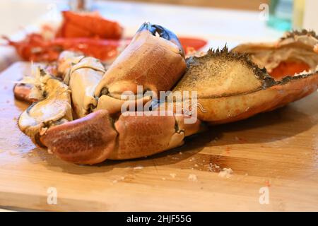 Crabe frais entier cuit anglais, cancer pagurus, crabe comestible ou crabe brun, posé sur une planche à découper en bois en train d'être habillé Banque D'Images