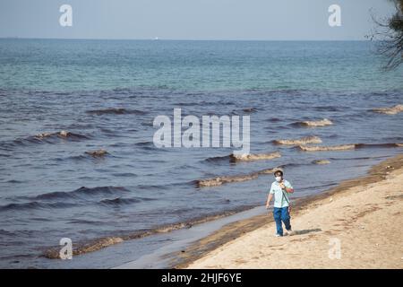 Rayong, Thaïlande.29th janvier 2022.Un touriste passe devant un déversement de pétrole brut sur une plage.les fonctionnaires provinciaux de Rayong se sont précipités pour nettoyer les taches de pétrole brut sur la plage.Après une fuite de pipeline sous la mer dans la province de Rayong, Mae Ramphueng Beach Thaïlande.Crédit : SOPA Images Limited/Alamy Live News Banque D'Images