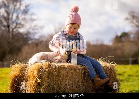 Arley, Worcs, Royaume-Uni.29th janvier 2022.Myla May Mills, âgée de deux ans, tente de nourrir Jubilee, un agneau d'un jour, dans la ferme de son fanily à Arley, dans le Worcestershire.L'agneau nouveau-né a été nommé Jubilé en l'honneur de cette année comme le Jubilé de platine de la Reine.Crédit : Peter Lophan/Alay Live News Banque D'Images