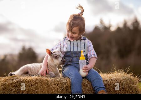 Arley, Worcs, Royaume-Uni.29th janvier 2022.Myla May Mills, âgée de deux ans, tente de nourrir Jubilee, un agneau d'un jour, dans la ferme de son fanily à Arley, dans le Worcestershire.L'agneau nouveau-né a été nommé Jubilé en l'honneur de cette année comme le Jubilé de platine de la Reine.Crédit : Peter Lophan/Alay Live News Banque D'Images