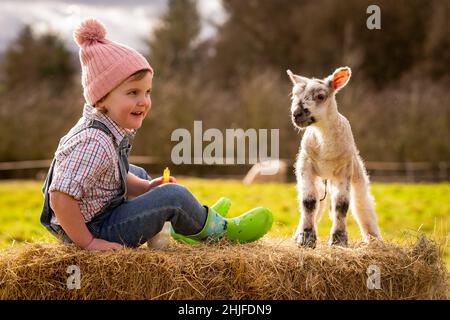 Arley, Worcs, Royaume-Uni.29th janvier 2022.Myla May Mills, âgée de deux ans, joue avec Jubilee, un agneau d'un jour, dans la ferme de son fanily à Arley, dans le Worcestershire.L'agneau nouveau-né a été nommé Jubilé en l'honneur de cette année comme le Jubilé de platine de la Reine.Crédit : Peter Lophan/Alay Live News Banque D'Images