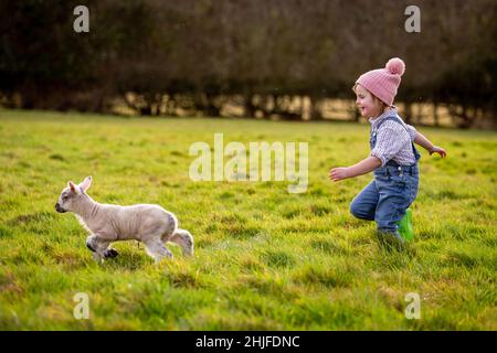 Arley, Worcs, Royaume-Uni.29th janvier 2022.Myla May Mills, âgée de deux ans, joue avec Jubilee, un agneau d'un jour, dans la ferme de son fanily à Arley, dans le Worcestershire.L'agneau nouveau-né a été nommé Jubilé en l'honneur de cette année comme le Jubilé de platine de la Reine.Crédit : Peter Lophan/Alay Live News Banque D'Images