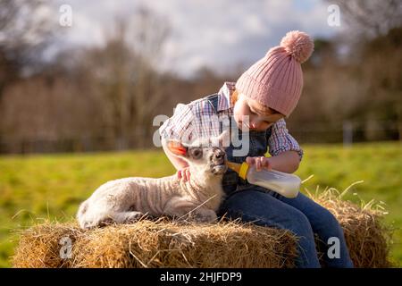 Arley, Worcs, Royaume-Uni.29th janvier 2022.Myla May Mills, âgée de deux ans, tente de nourrir Jubilee, un agneau d'un jour, dans la ferme de son fanily à Arley, dans le Worcestershire.L'agneau nouveau-né a été nommé Jubilé en l'honneur de cette année comme le Jubilé de platine de la Reine.Crédit : Peter Lophan/Alay Live News Banque D'Images