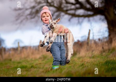 Arley, Worcs, Royaume-Uni.29th janvier 2022.Myla May Mills, âgée de deux ans, joue avec Jubilee, un agneau d'un jour, dans la ferme de son fanily à Arley, dans le Worcestershire.L'agneau nouveau-né a été nommé Jubilé en l'honneur de cette année comme le Jubilé de platine de la Reine.Crédit : Peter Lophan/Alay Live News Banque D'Images