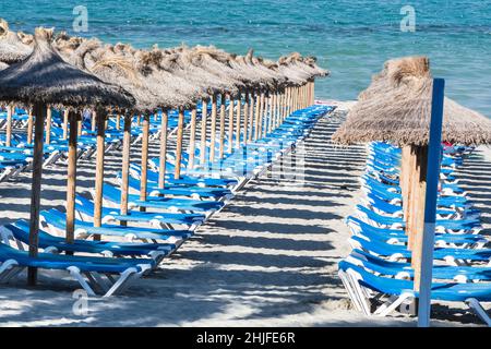 Chaises longues dans une rangée et parasols sur la plage en été. Banque D'Images