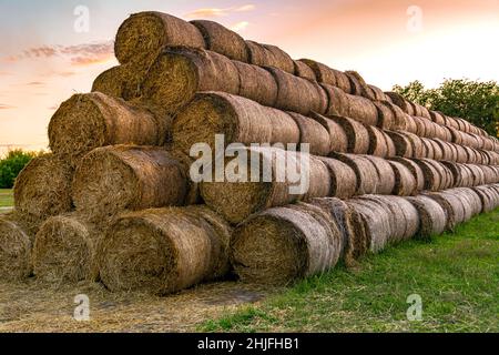 Grosse pile de balles avec de la paille.Balles de paille rondes empilées dans une pyramide dans un pré. Banque D'Images