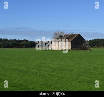 Grange abandonnée au milieu d'un champ Banque D'Images