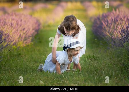 Deux petites Sœurs se courrent dans Un champ de lavande, la grande sœur aide la petite sœur Banque D'Images