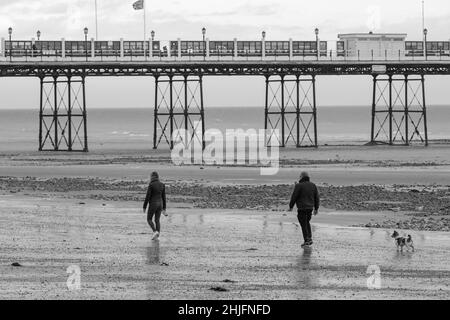 Dog Wakers sur Worthing Beach, West Sussex Banque D'Images