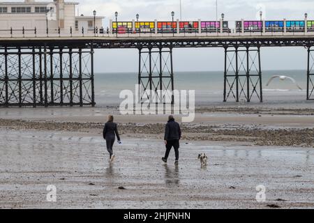 Dog Wakers sur Worthing Beach, West Sussex Banque D'Images