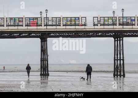 Dog Wakers sur Worthing Beach, West Sussex Banque D'Images