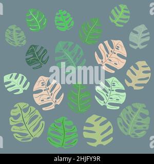définir des feuilles de monstera de différentes couleurs Illustration de Vecteur