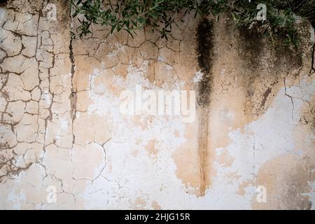 Cimetière municipal de Genova, Majorque, Iles Baléares, Espagne Banque D'Images