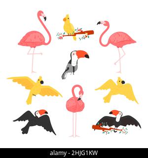 Icônes exotiques de style plat d'oiseaux tropicaux.Ensemble de vecteur coloré oiseaux illustration de toucan, cafatoo, perroquet, flamants.Éléments de conception isolés Illustration de Vecteur