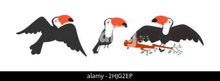 Ensemble sauvage d'oiseaux tropicaux colorés.Icônes de toucan drôles isolées avec le modèle d'art populaire. Illustration de Vecteur