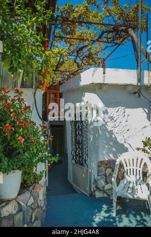 Escaliers sur la rue du village dans la petite ville grecque, maisons blanches et colorées et arbres, Paros, Grèce Banque D'Images