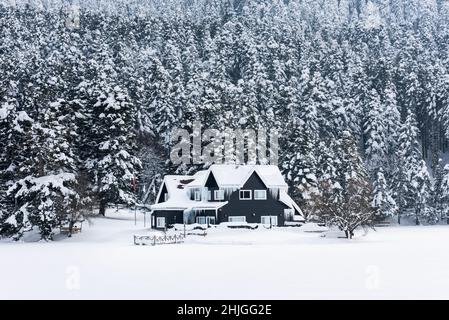 Parc NATUREL de GOLCUK à Bolu, Turquie.(Turc : Golcuk Tapiat Parki).Magnifique paysage d'hiver au lac Golcuk. Banque D'Images