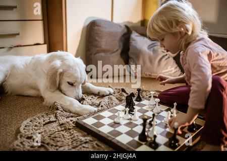 le chien se trouve près de l'échiquier. le propriétaire joue le jeu d'échecs avec des pièces d'échecs.Golden retriever chiot apprendre à jouer aux échecs.Communication des animaux et ch Banque D'Images