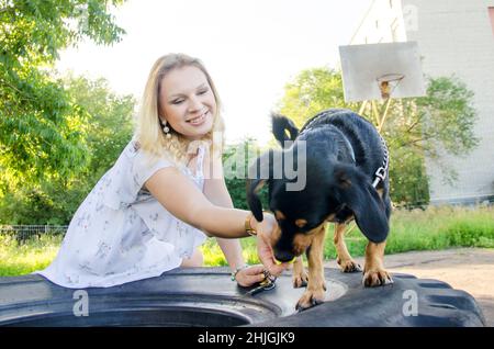 Un petit chien drôle est à la recherche d'un traitement qu'une belle fille blonde dans une robe légère lui donne. Banque D'Images