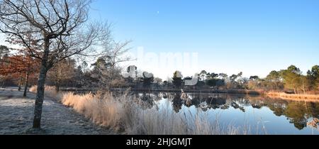 Gaillères, Etang de Massy en hiver Banque D'Images