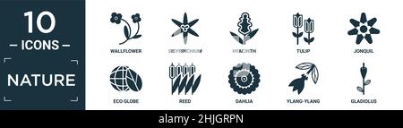 ensemble d'icônes nature remplies. contient un wallflower plat, sisyrinchium, jacinthe, tulipe, jonquil,globe écologique, roseau, dahlia, ylang-ylang, gladiolus icônes en édition Illustration de Vecteur